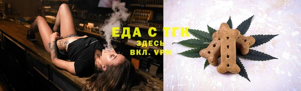 индика Нефтекумск