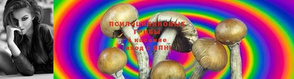 прущая мука Богородицк