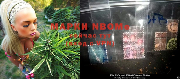 индика Нефтекумск