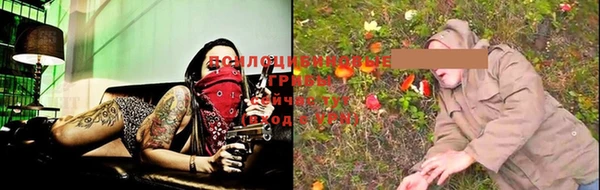 мдпв Нея