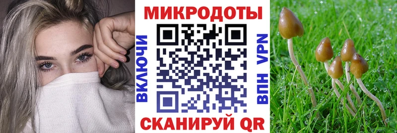 Галлюциногенные грибы мицелий  Советская Гавань 