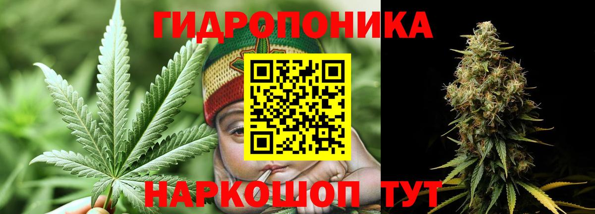 Каннабис ГИДРОПОН Советская Гавань